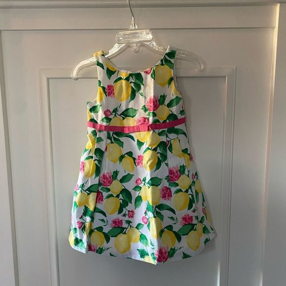 Janie and Jack Other - Janie and Jack Toddler Dress